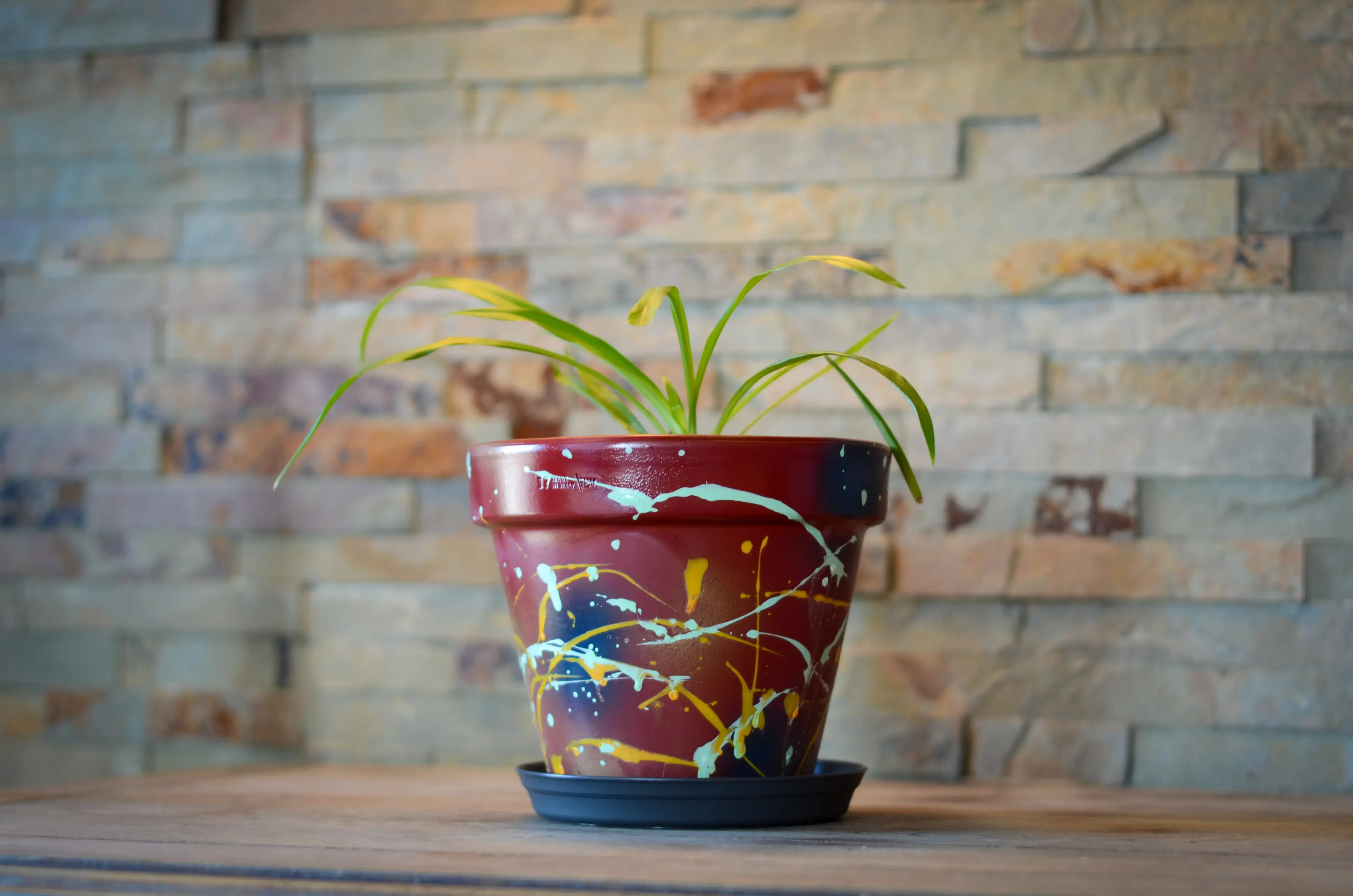 Petit pot bordeaux