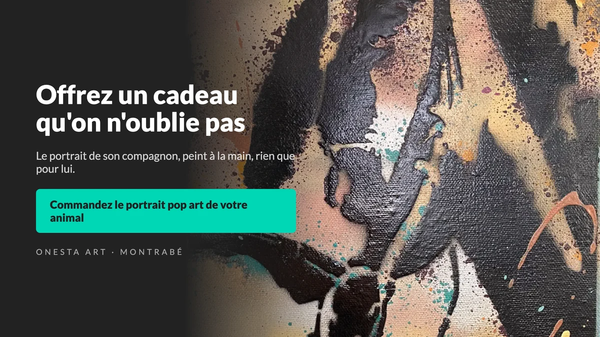 Offrez le portrait pop art de votre animal, peint à la main près de Toulouse